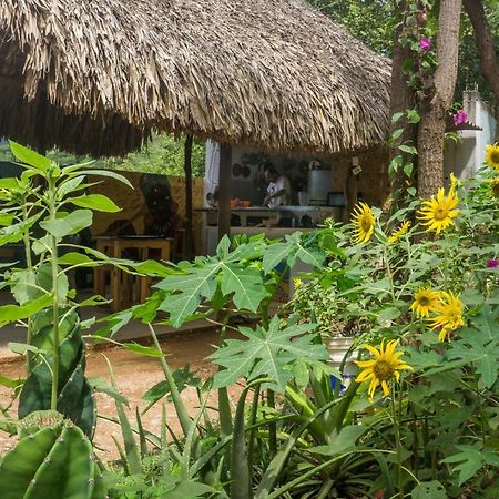Hostel Hipilandia Таганга Екстериор снимка