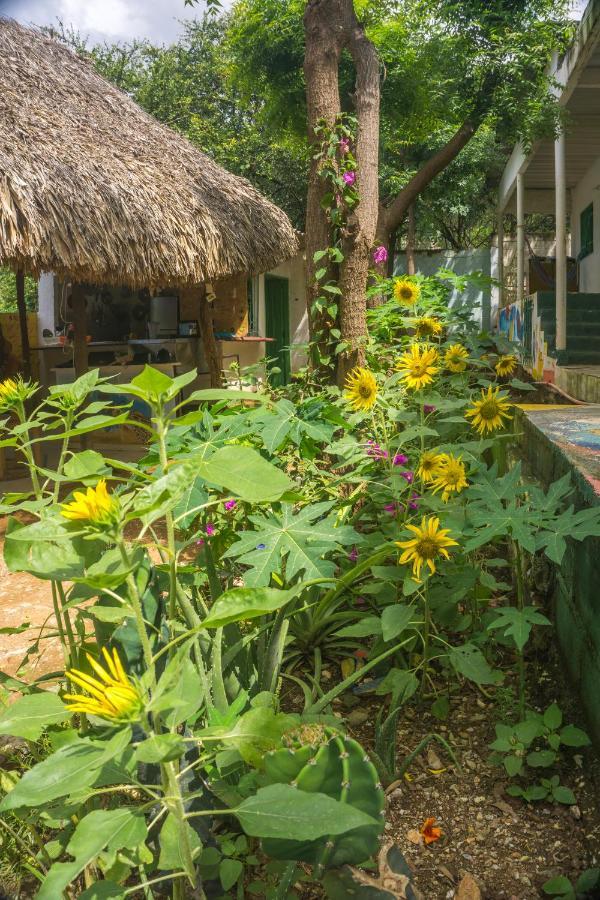 Hostel Hipilandia Таганга Екстериор снимка